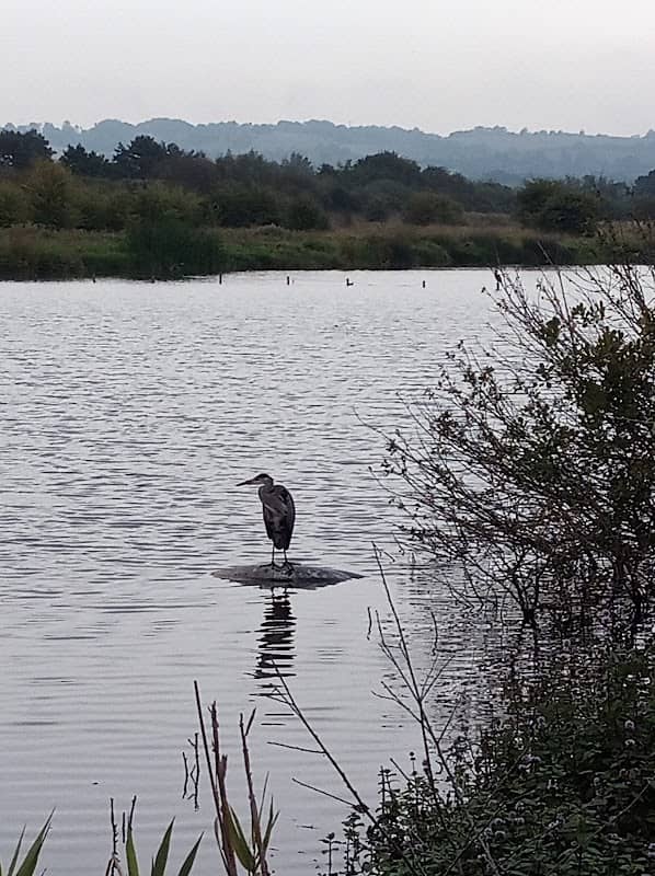 Moors Nature Reserve - Image 2