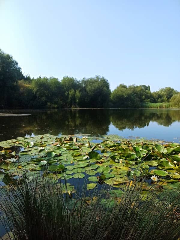 Stillwater Lake, nature reserve. By foot only - Image 2