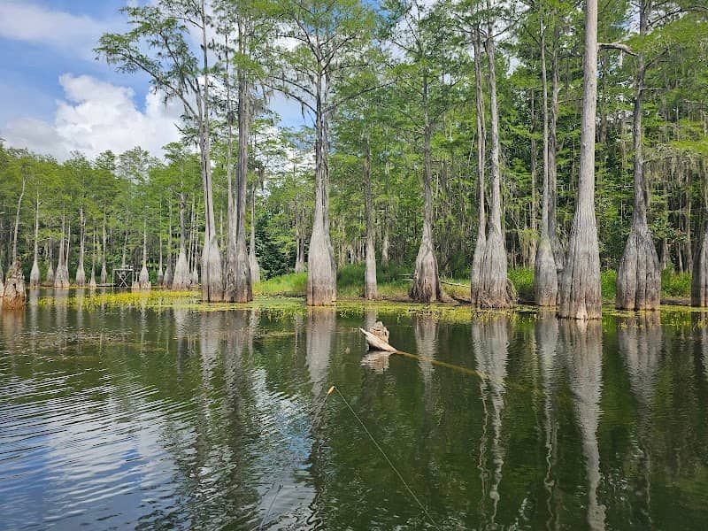 Ocheesee Pond Landing - Image 1