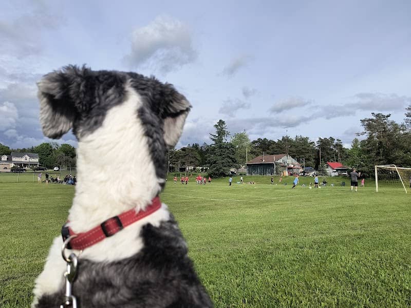 Burketon Park - Image 2