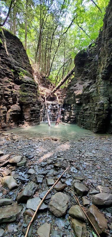 Hidden Falls Hike Trailhead - Image 2