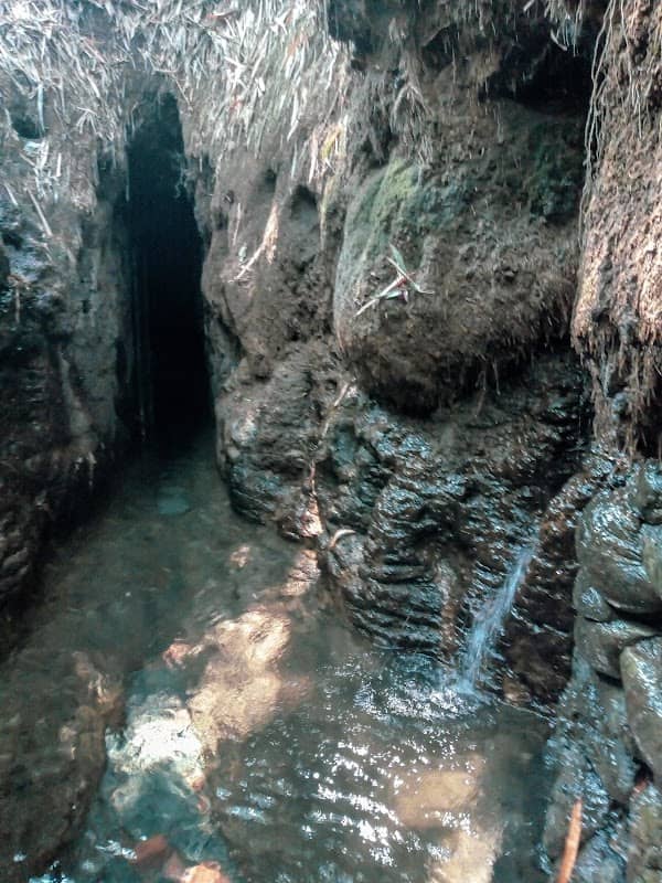 Goa Surowono - Image 1