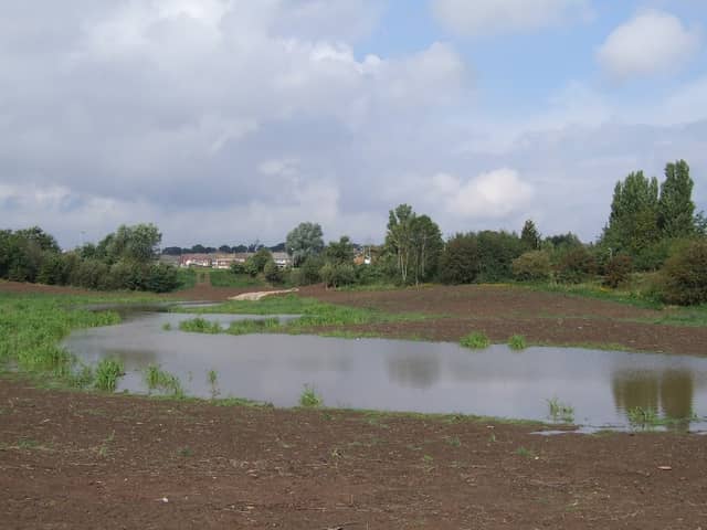 Hardwick Pond - Image 1