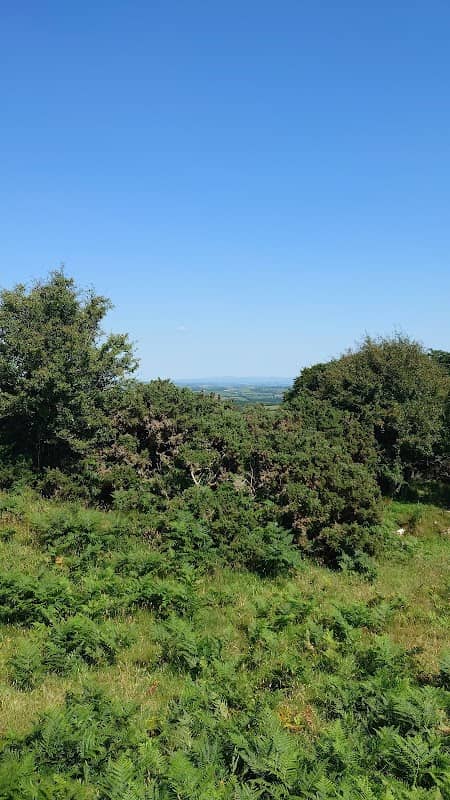 Dyffryn Hill Celtic Fort - Image 2