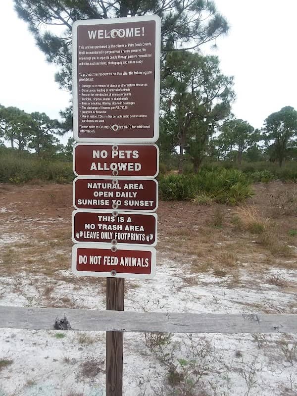 Lake Park Scrub Natural Area - Image 3