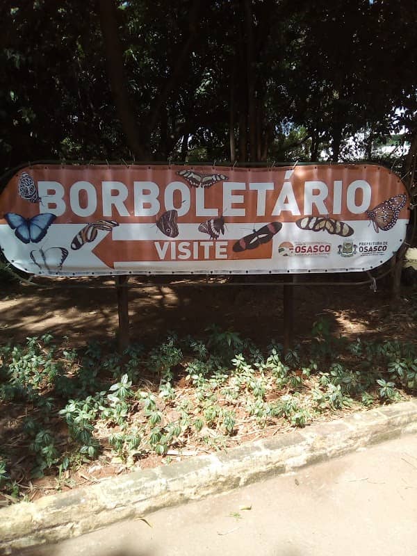 Municipal butterfly Osasco - Image 1
