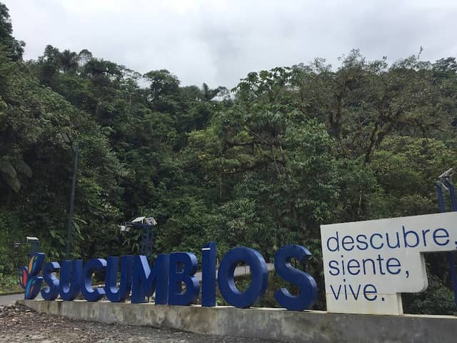 Mirador Selva Mágica - Image 1