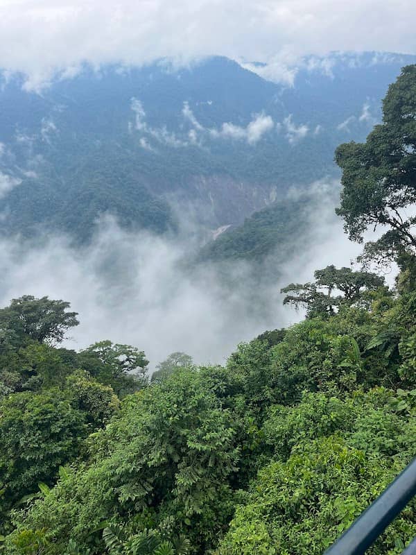 Mirador Selva Mágica - Image 2