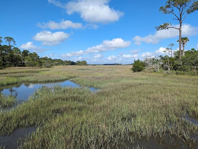 Marsh View Tower - Image 3