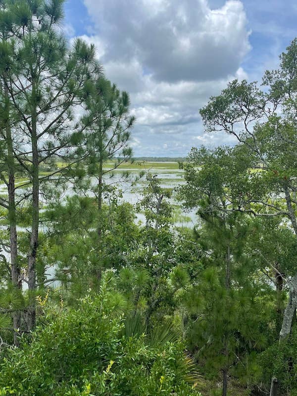 Marsh View Tower - Image 2