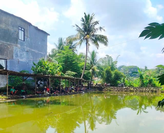 Kolam pemancingan ikan mas ANUGRAH ( SEHU ) Pelampung bergoyang - Image 1