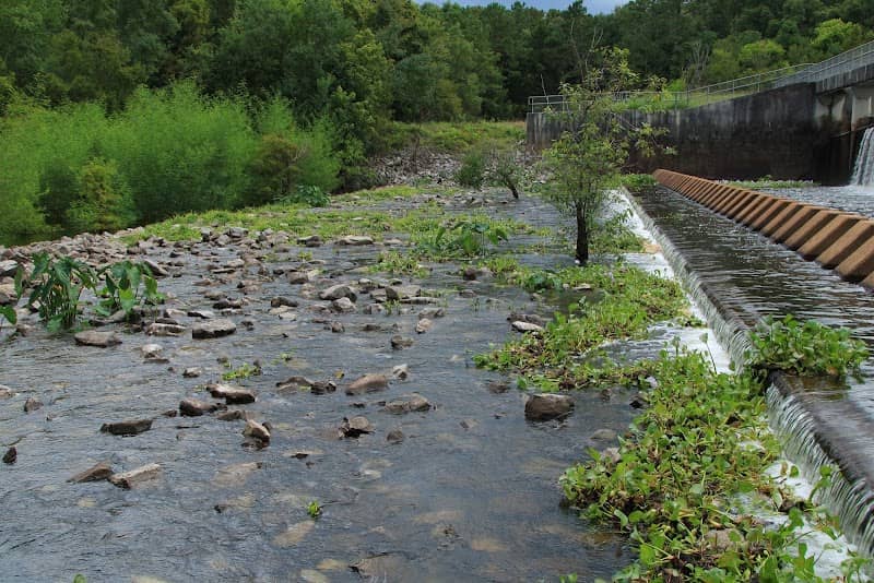 Lake Chicot Spillway - Image 2