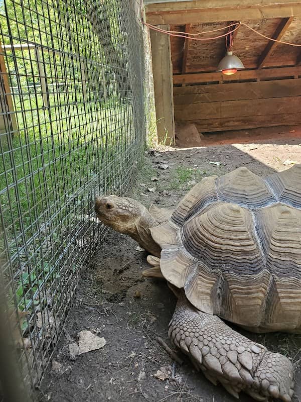 Dakota Zoo - Image 2