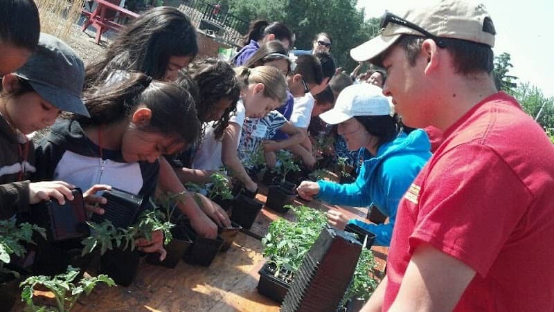 Sustainable Garden - Image 2