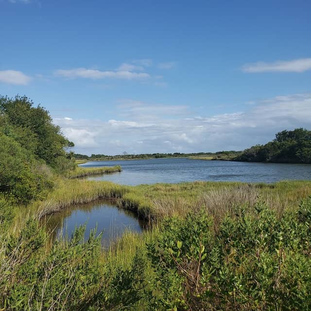 Life of the Marsh Nature Trail - Image 3