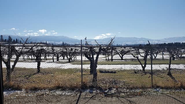 East Kelowna Park - Image 2