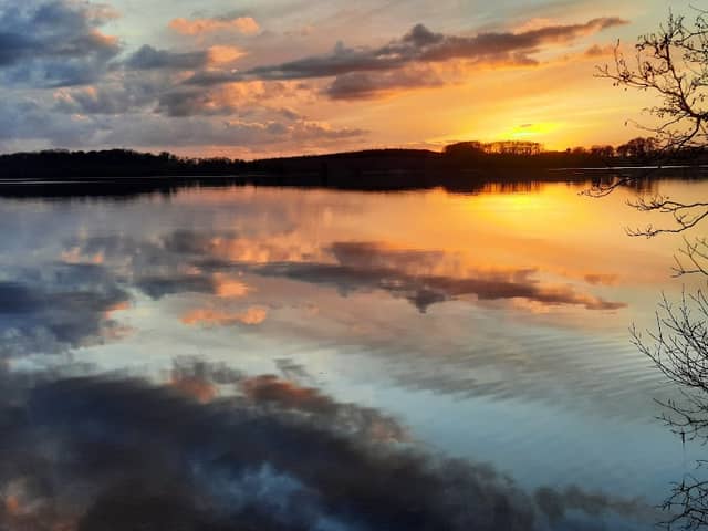 Lough Owel Forest Park - Image 2