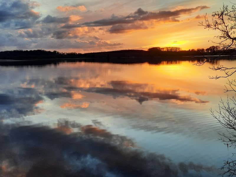 Lough Owel Forest Park - Image 2