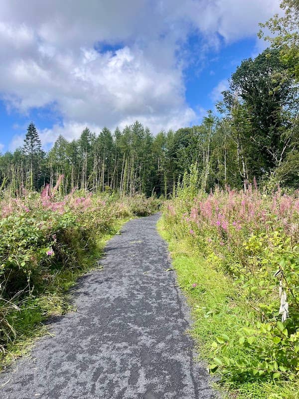 Lough Owel Forest Park - Image 1