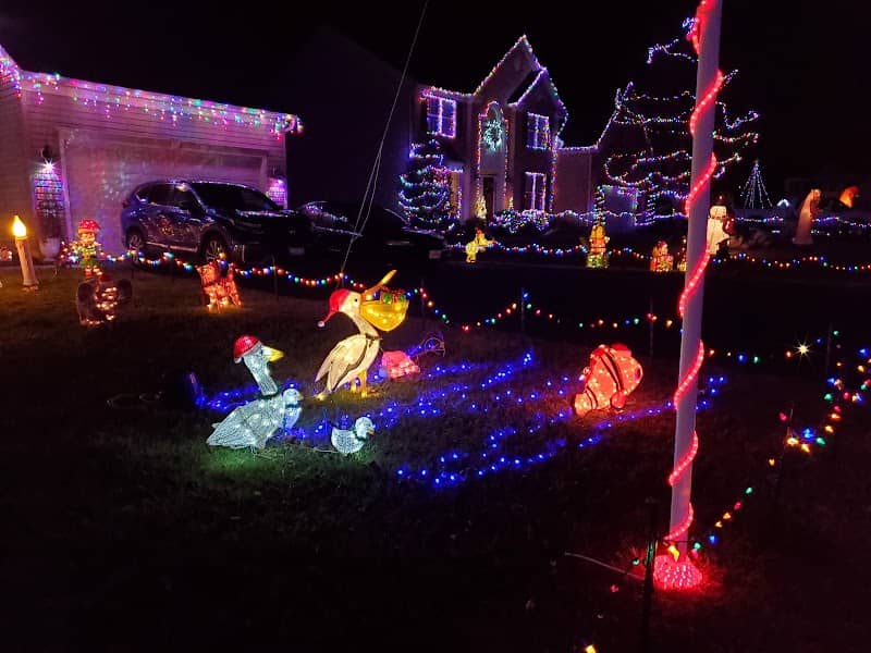 McCurley Magical Christmas Lights - Image 2
