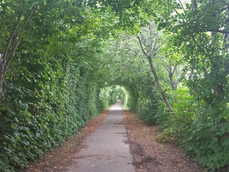 Ortrun Hübler Allee - Image 1