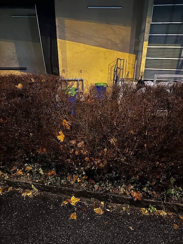 Jerry Loch im Busch - Image 1