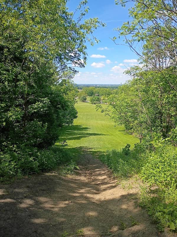 Harris Forest Preserve - Image 1