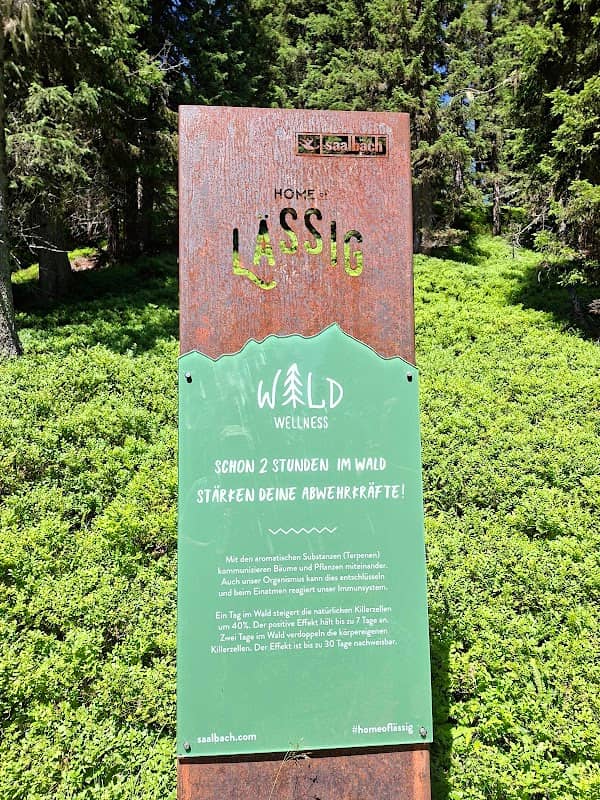 Wild Wellness - Image 2