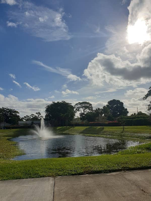 Foxtail Palm Park - Image 1