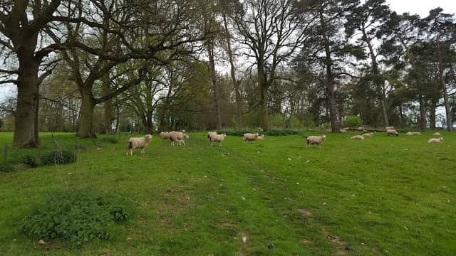 Hoddington Park - Image 2