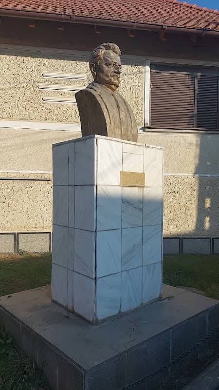Statue Ioan Moraru - Image 1