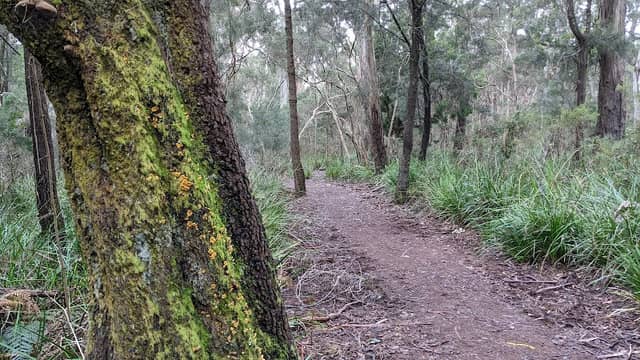 Don Reserve - Image 1