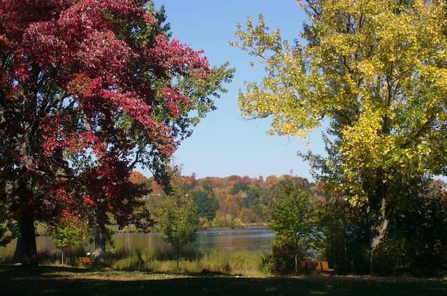 Parc de la plage Jacques-Cartier - Image 3