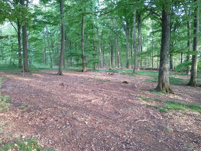 Krokenskogen Förslöv - Image 1