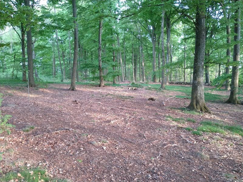 Krokenskogen Förslöv - Image 1