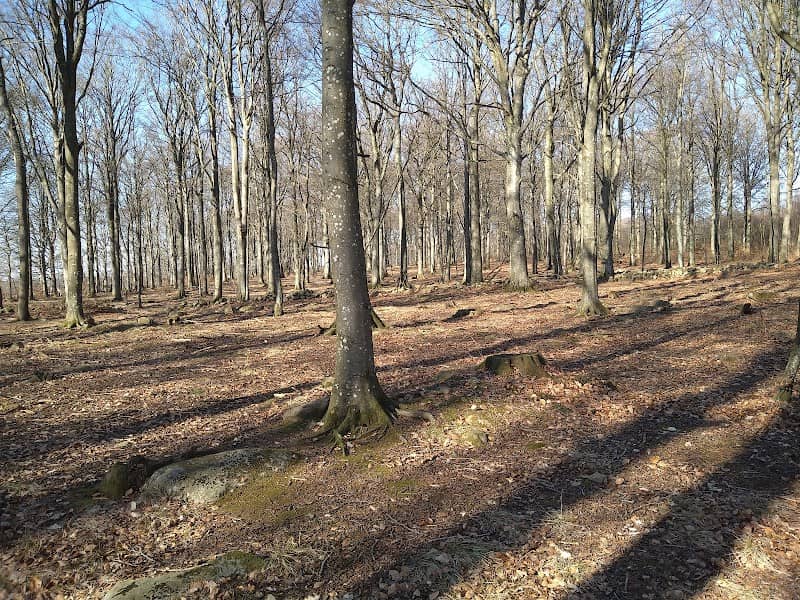 Krokenskogen Förslöv - Image 2