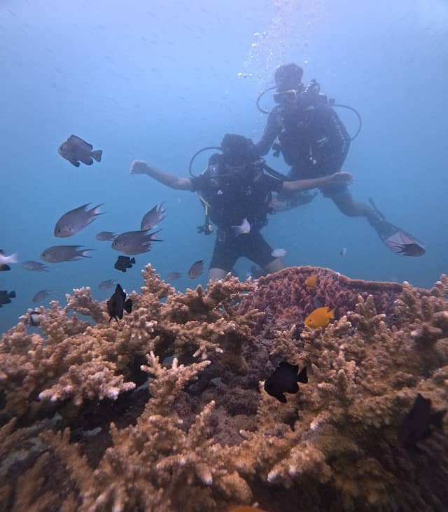 Havelock Island - Image 2