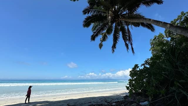 Havelock Island - Image 3