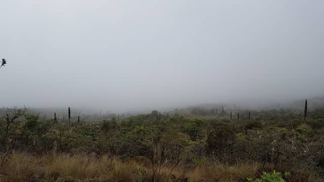 Parque Ecológico Km 0 Bogotá Choachí - Image 1