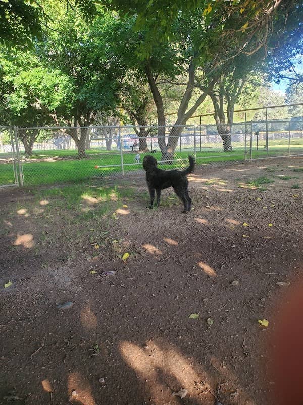 Deming Dog Park - Image 1