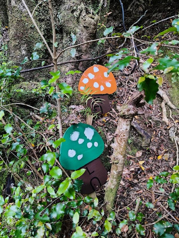 Horoeka Scenic Reserve - Image 1