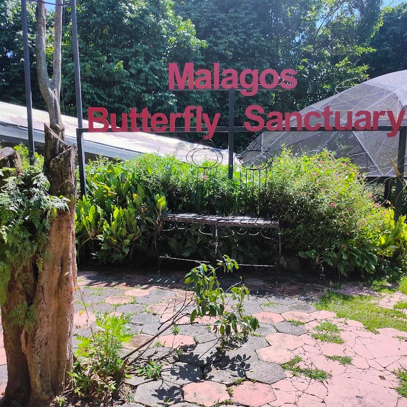 Malagos Butterfly Sanctuary - Image 2