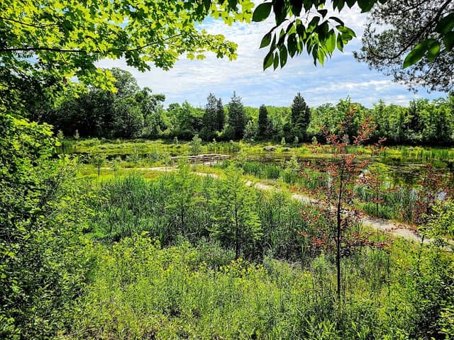 Oberlin Wetlands Habitat & Park - Image 2