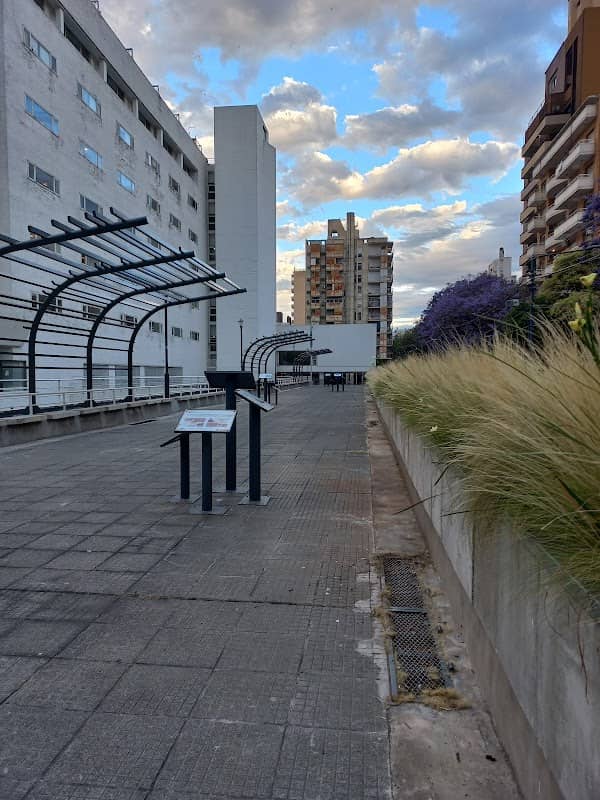 Paseo Héroes de la Salud - Image 1