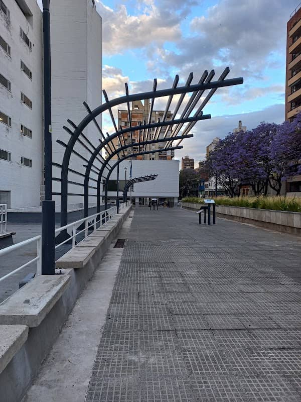 Paseo Héroes de la Salud - Image 2