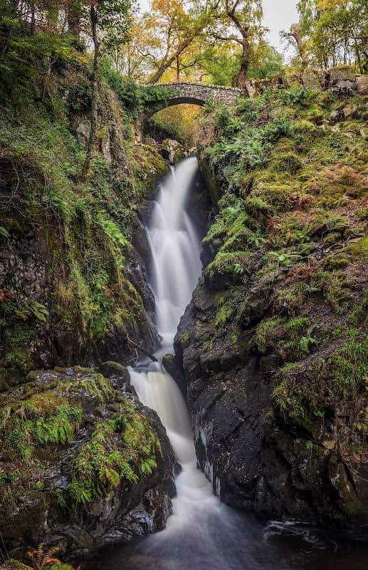 Aira Force - Image 1
