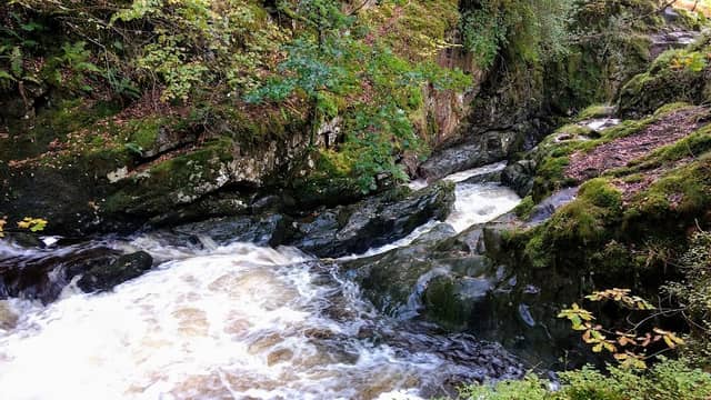 Aira Force - Image 3