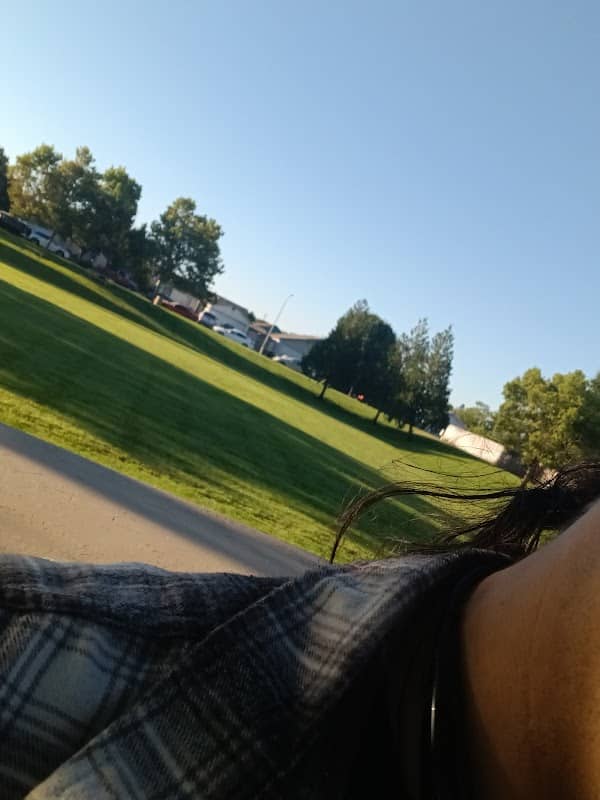 Singh Park - Image 2