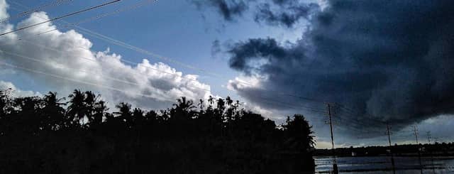 paddy field - Image 2