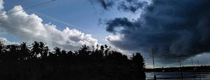 paddy field - Image 2